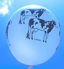 re: The Official Harris Birthday Party Thread!!