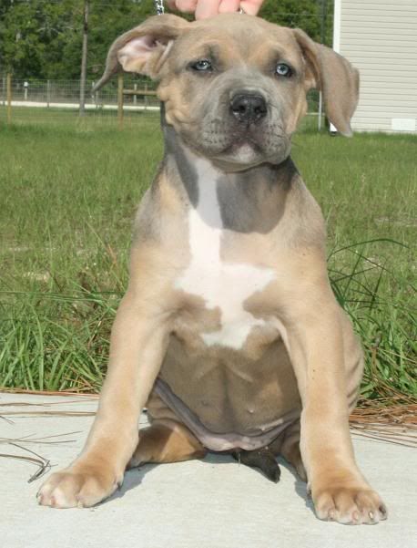 9 weeks