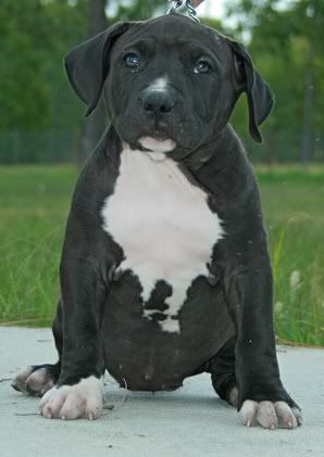 9 weeks IMG_1036modified.jpg
