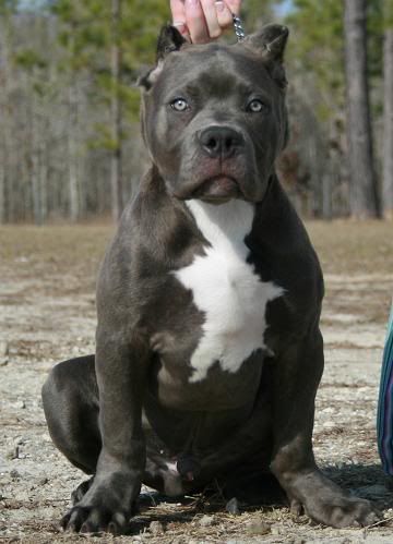 14 weeks