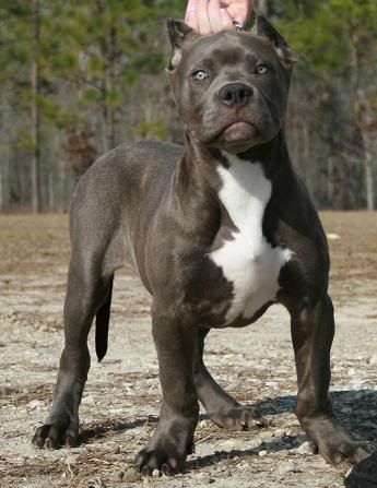 14 weeks