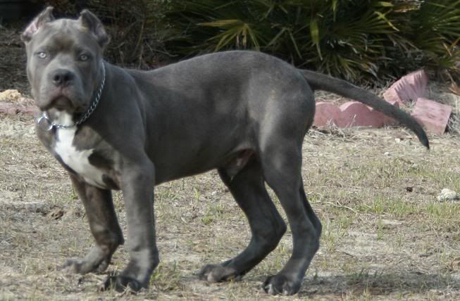 14 weeks
