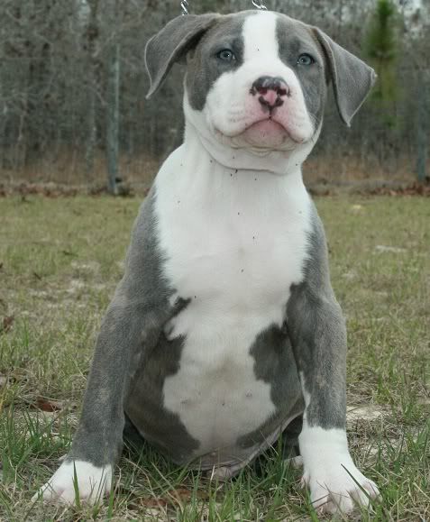 8 weeks photo IMG_0380modified.jpg