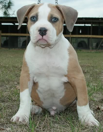 8 weeks photo IMG_0409modified.jpg