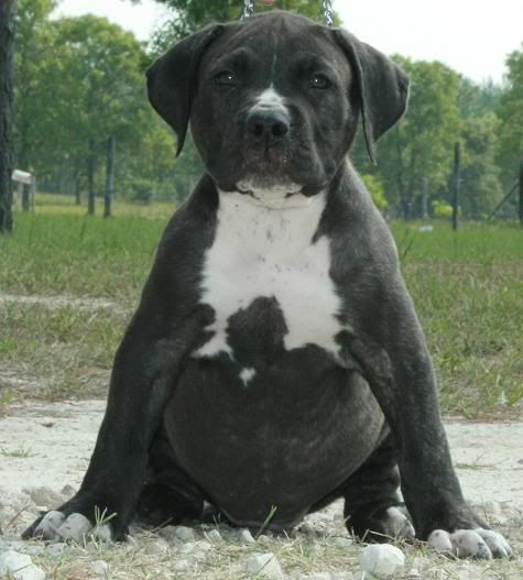 10 weeks
