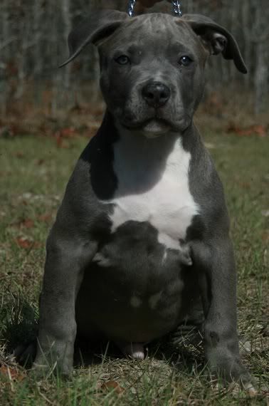 10 weeks photo IMG_0208modified.jpg