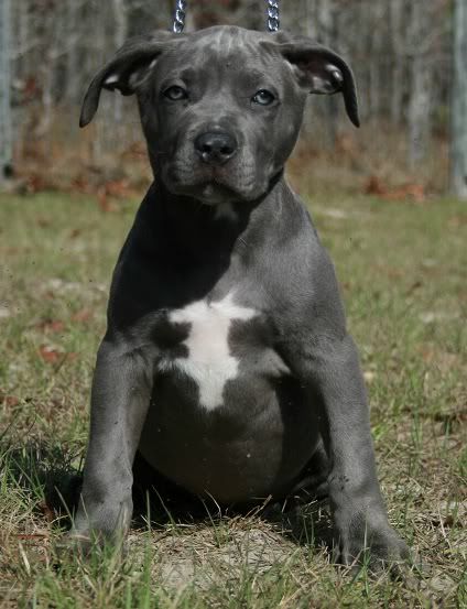 10 weeks photo IMG_0229modified.jpg