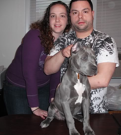 Image of Couple with Blue Pit Bull puppy