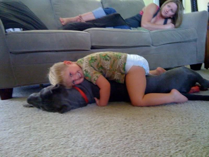 Image of children playing with new Pit Bull Puppies 