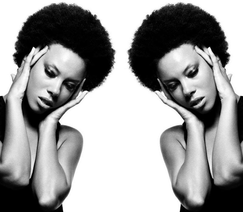 Adama - Delicate Dragon Adama - Delicate Dragon