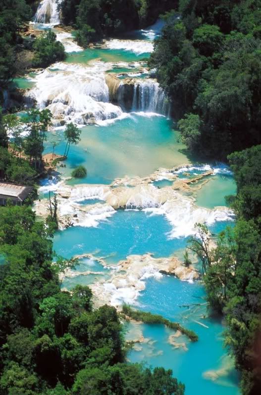 ChiapasTumbalaAguaAzulWaterfalls5-P.jpg Agua Azul, Mexico (www.luxuriousmexico.com) image by tootshibbard