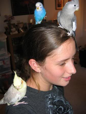 April182007-birdies021Custom.jpg