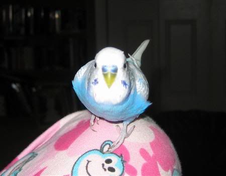 April82007-easter012Custom.jpg