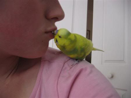 January12007-lotsofpets081Custom.jpg