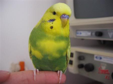 January12007-lotsofpets085Custom.jpg