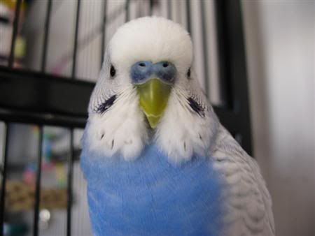 March82008-fids019Custom.jpg