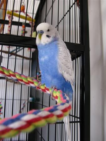 March82008-fids020Custom.jpg