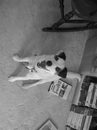 January112007-bwpets033Custom.jpg