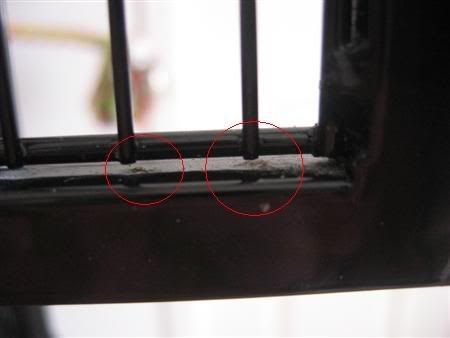 June52007-birdsandcagefaults039Cust.jpg