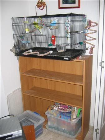 March42007-pets036Custom.jpg