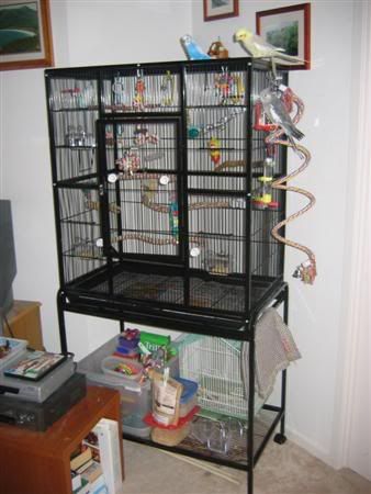 March42007-pets038Custom.jpg