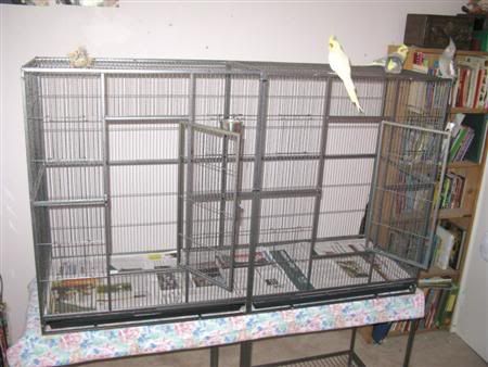 May282008-cage004Custom.jpg