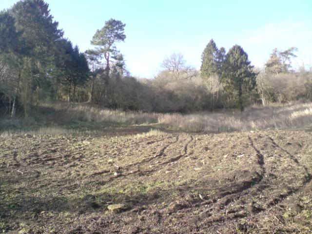 DSC00007.jpg