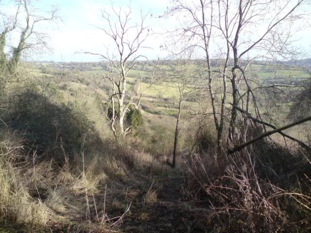 DSC00008.jpg