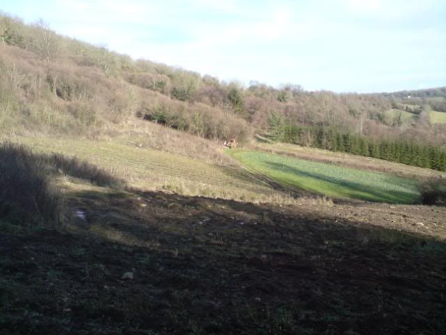 DSC00009-1.jpg