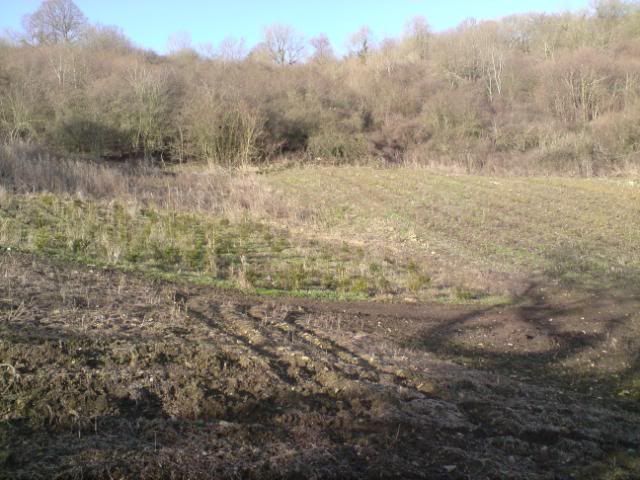 DSC00010-1.jpg
