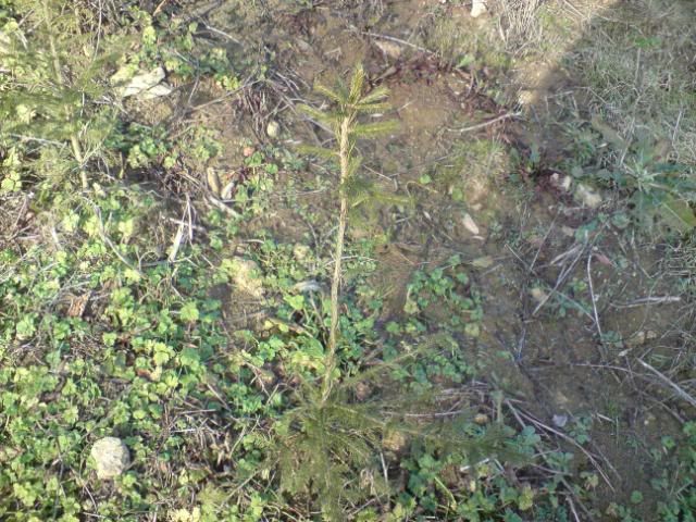 DSC00013.jpg