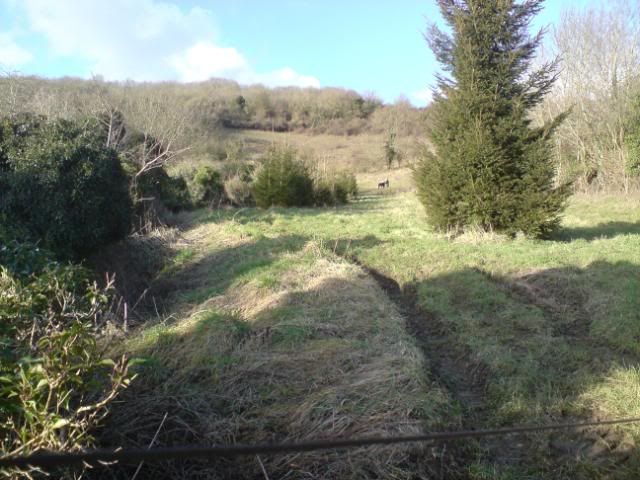 DSC00016.jpg