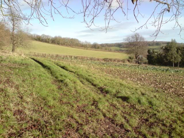DSC00017.jpg
