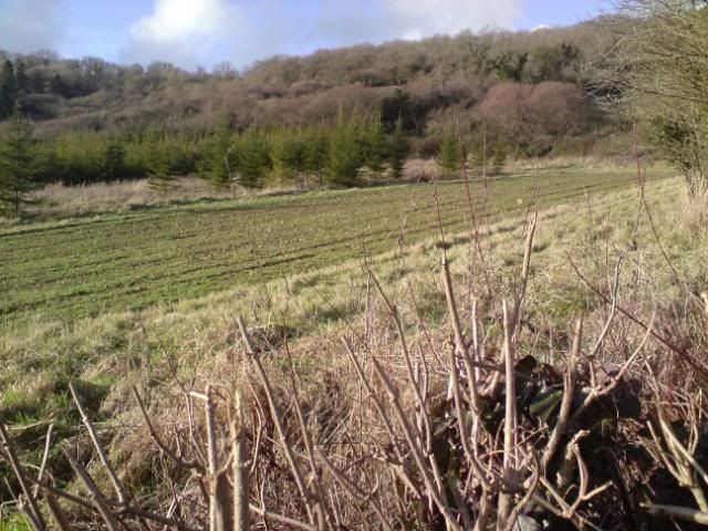 DSC00019.jpg