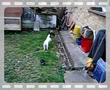 th_MVI_3386.jpg