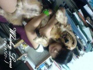 Photo Sharing and Video Hosting at Photobucket