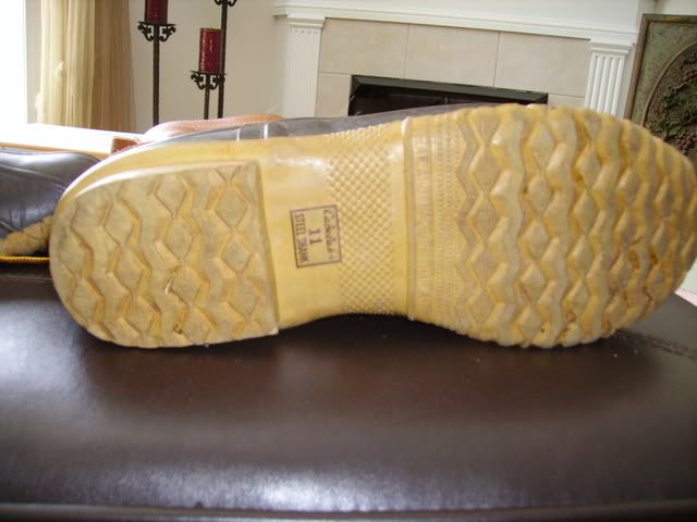 Picture017.jpg