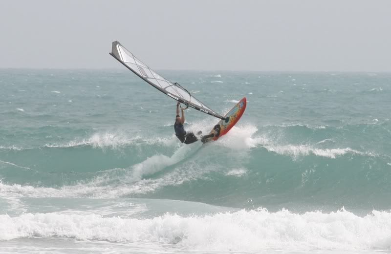 calblanque10oct08039.jpg