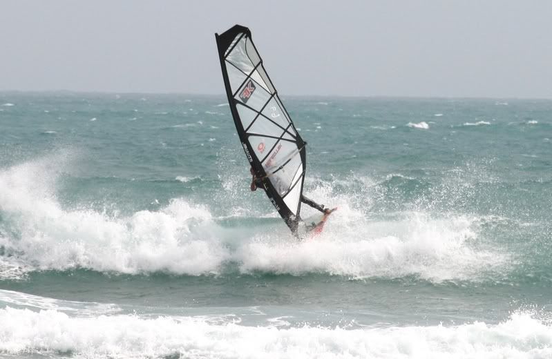 calblanque10oct08041.jpg