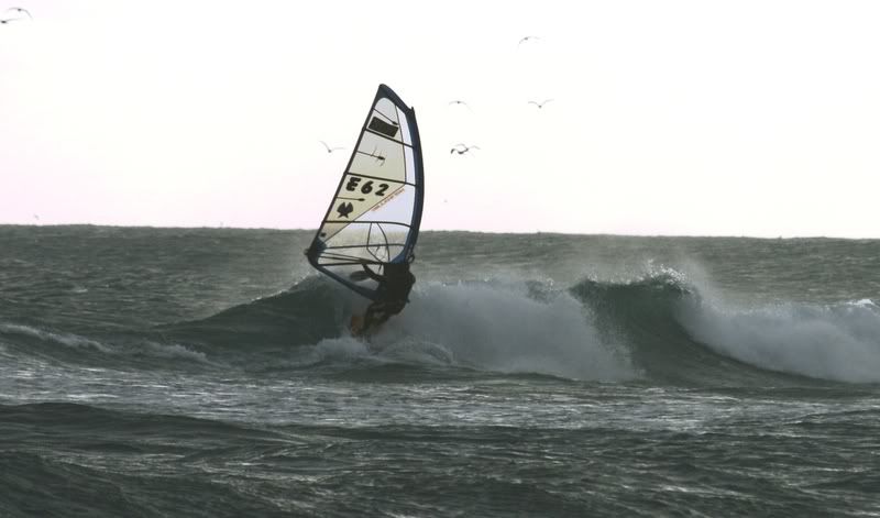 CALBLANQUE09_01_11109.jpg