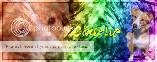 charliesig.png