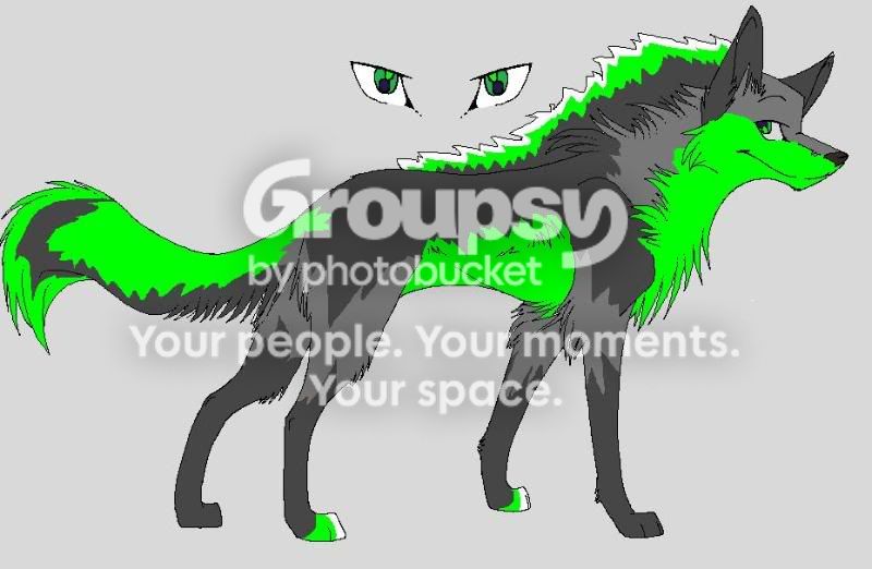 User Image