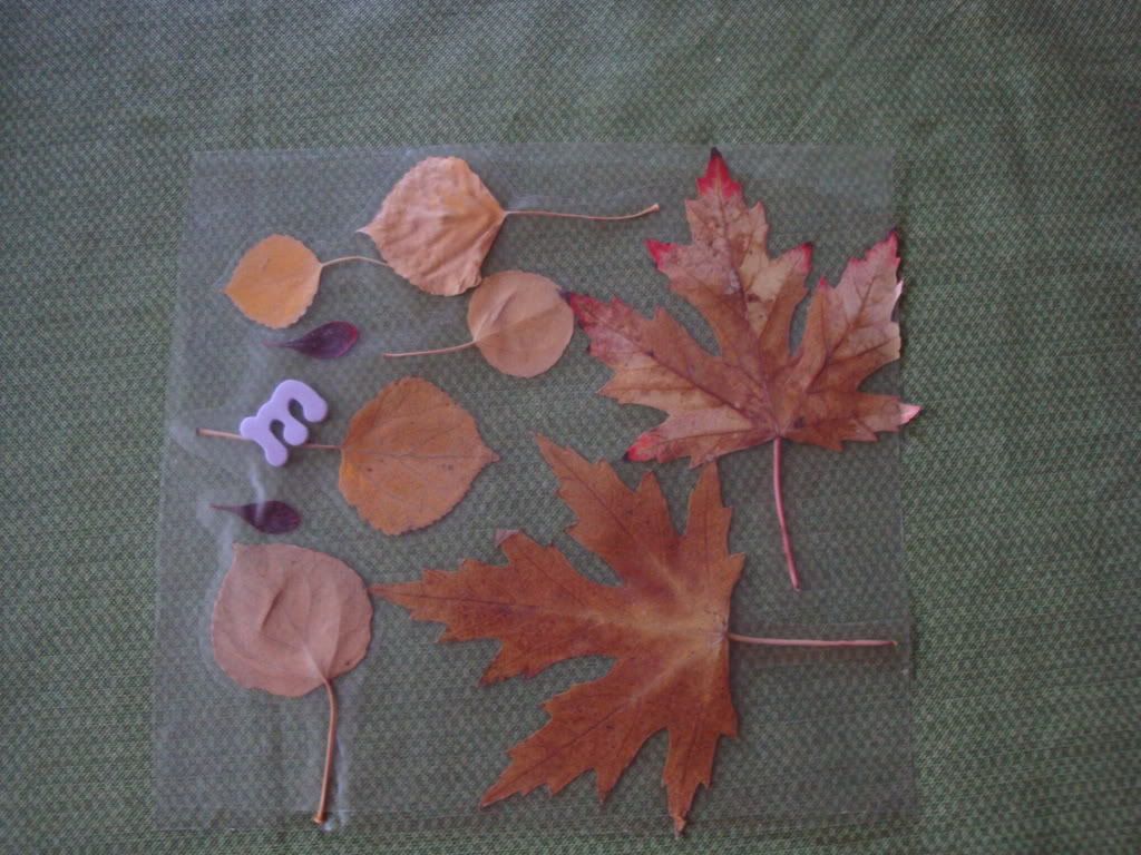 Toddler Autumn placemat