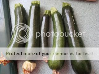  courgettes