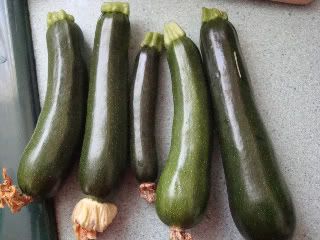  courgettes