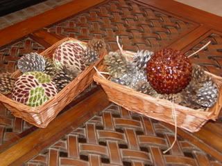 Pinecones display