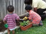 planting a garden2