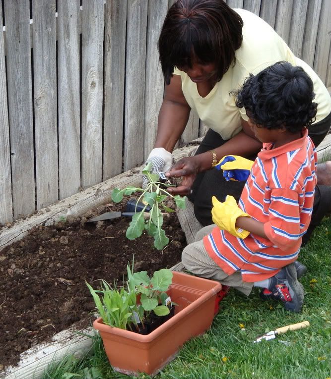 planting a garden1