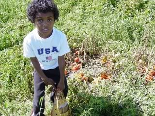 Photo of heavy bag of tomatoes