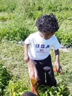 Photo of boy examining the pepper